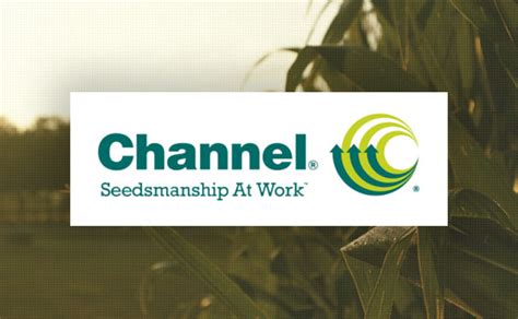 channel seed products.